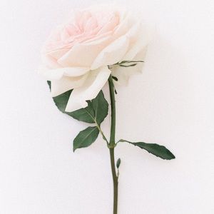 Meet your Posher, Mia